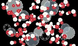 Featured image of post 古诗二首