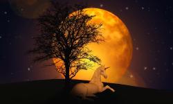 Featured image of post 《水调歌头．明月几时有》